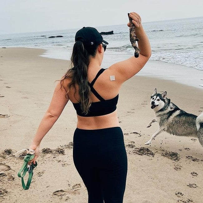 Transform Your Well-being in 2026: Benefits of Holistic Wellness Programs and Eco-Friendly Fitness Products