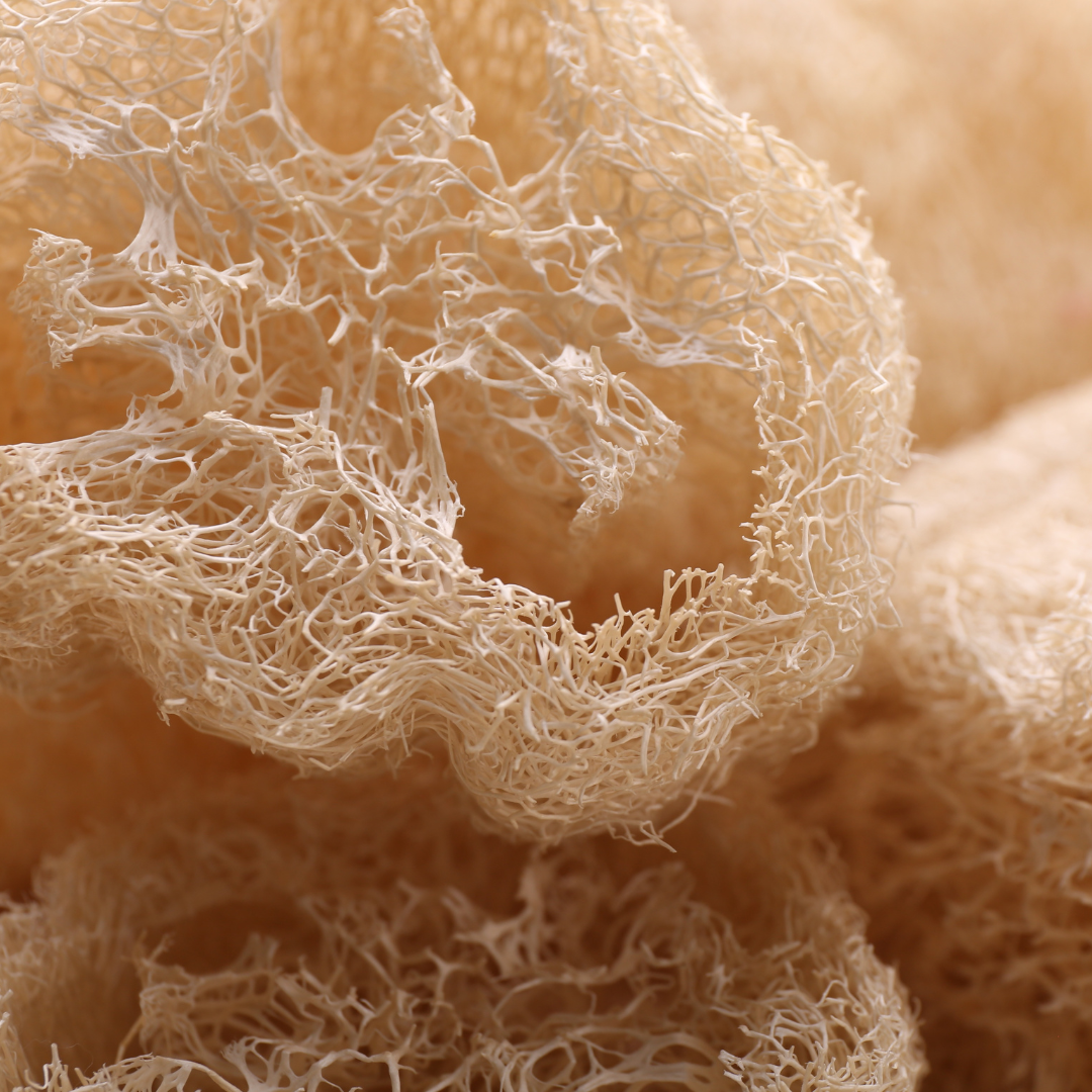Natural Loofah Sponge