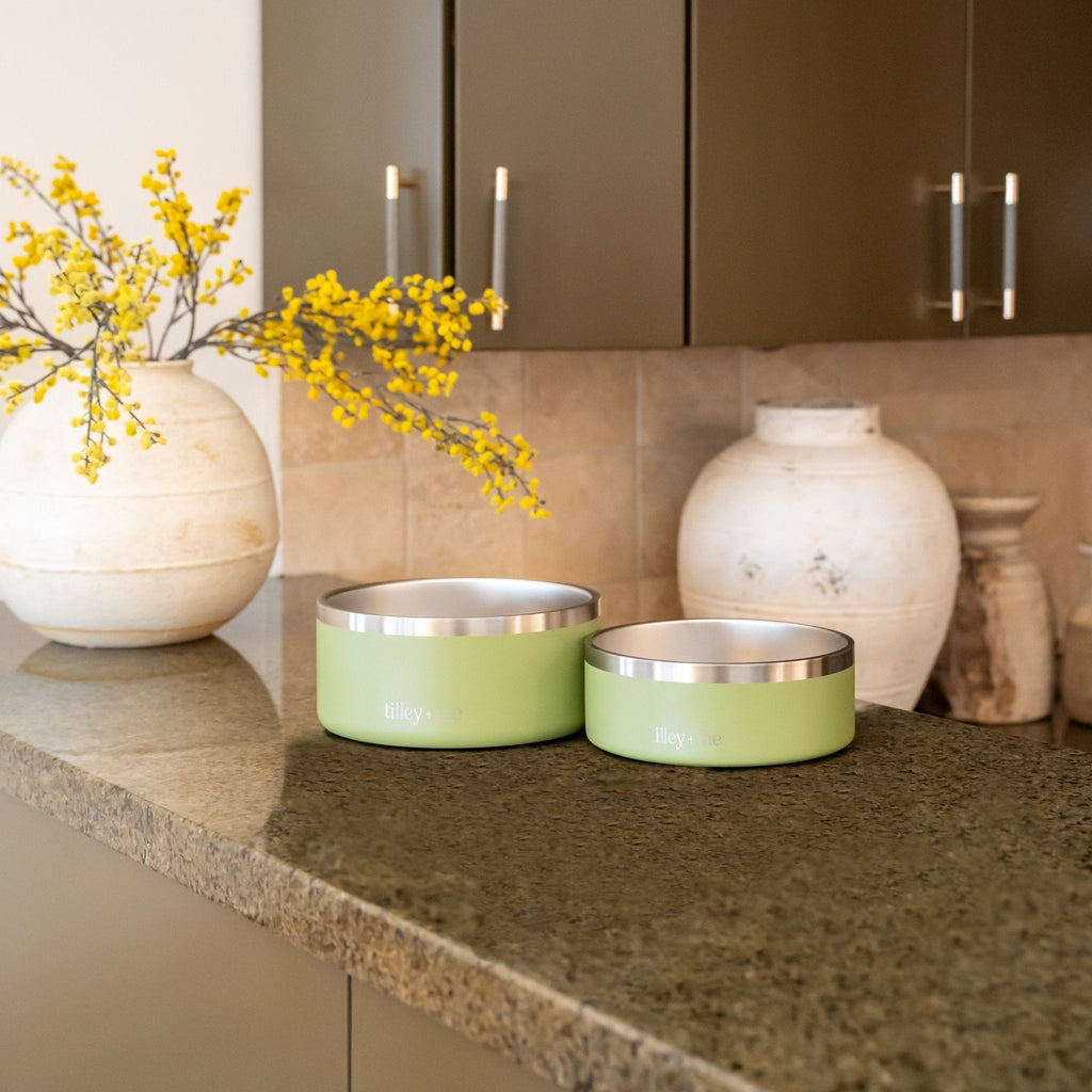 Stainless Steel Pet Bowl – Non-Slip, Durable & Dishwasher Safe | 32oz and 64oz