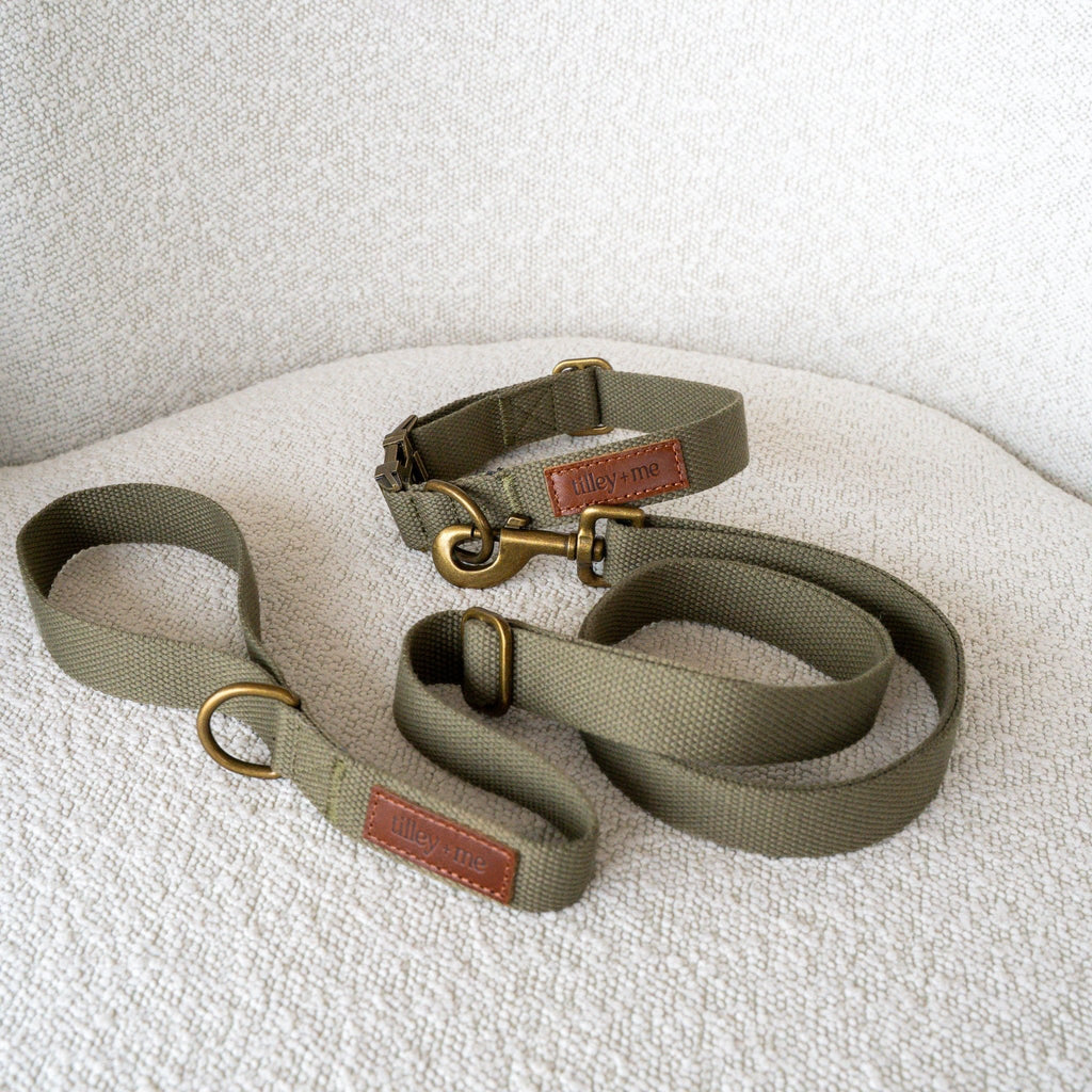 Hemp Cotton Dog Leash - Durable, Sustainable, Adjustable, Lightweight & Soft