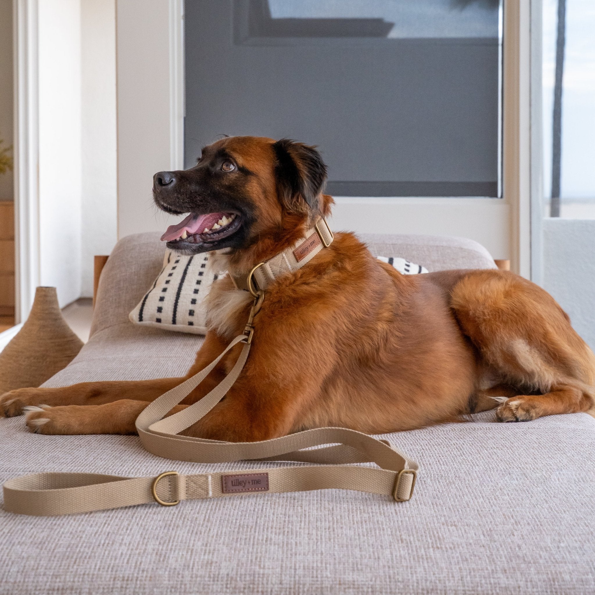 Hemp Cotton Dog Leash - Durable, Sustainable, Adjustable, Lightweight & Soft