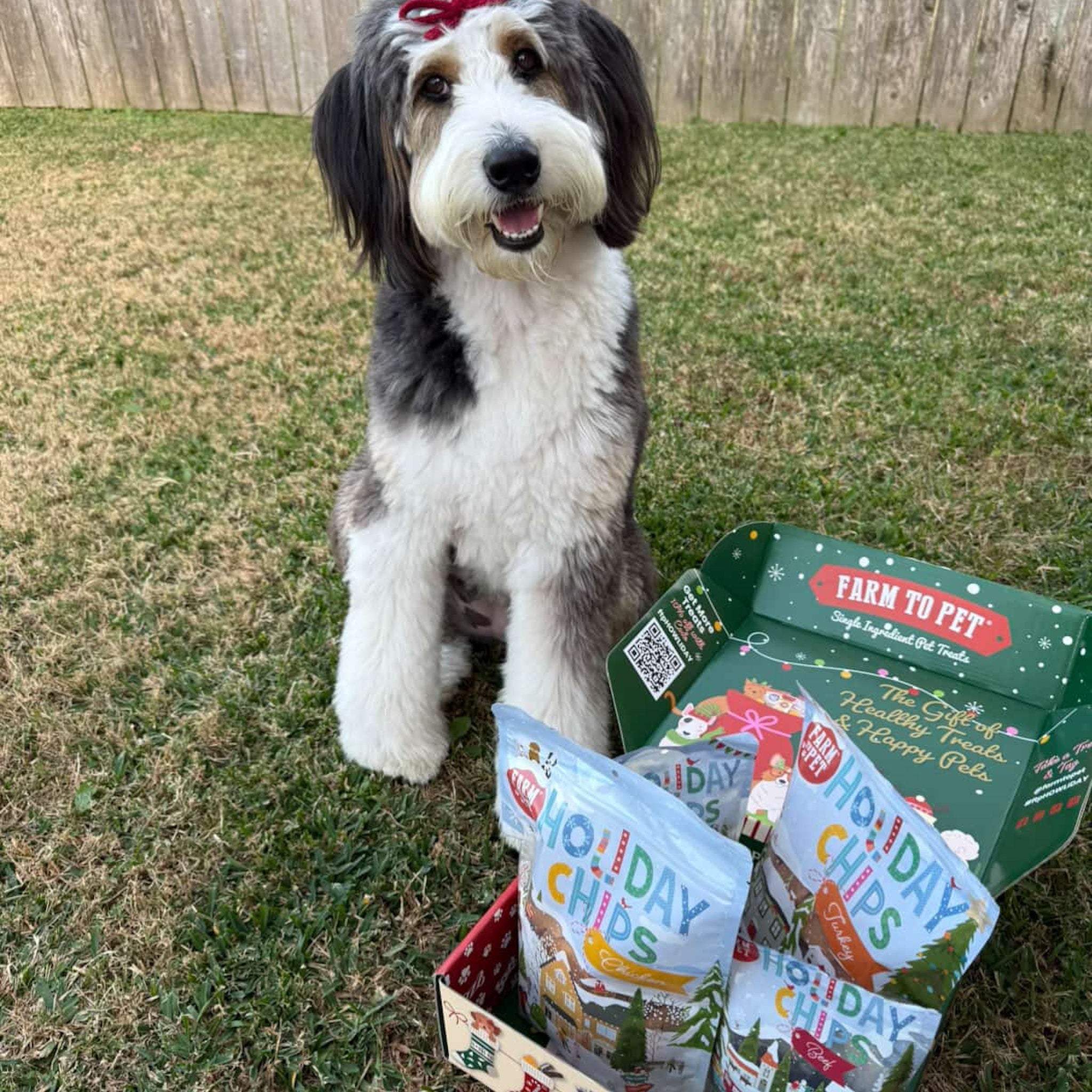 Santa Paws' Best Chipmas Dog Treat Box