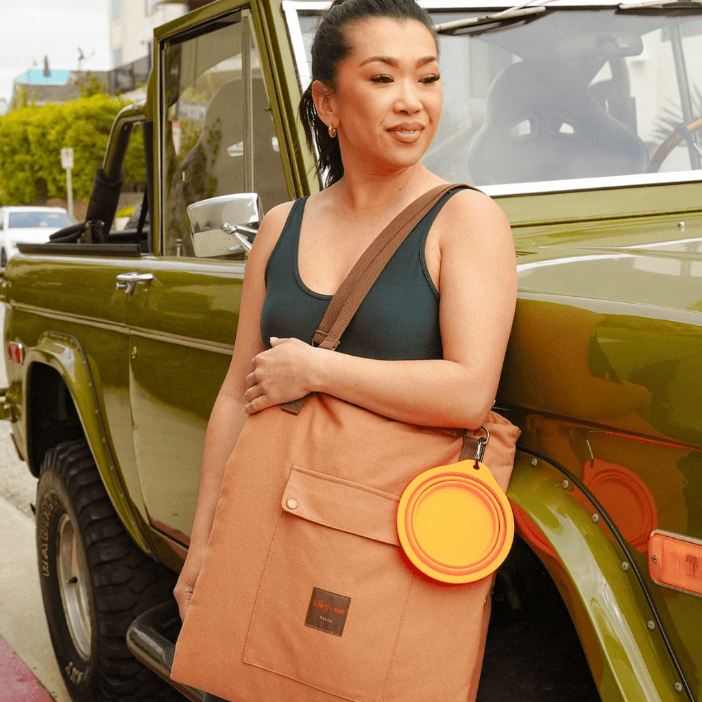 Convertible Dog Bag - Portable Travel Mat Bag for Pet Owners