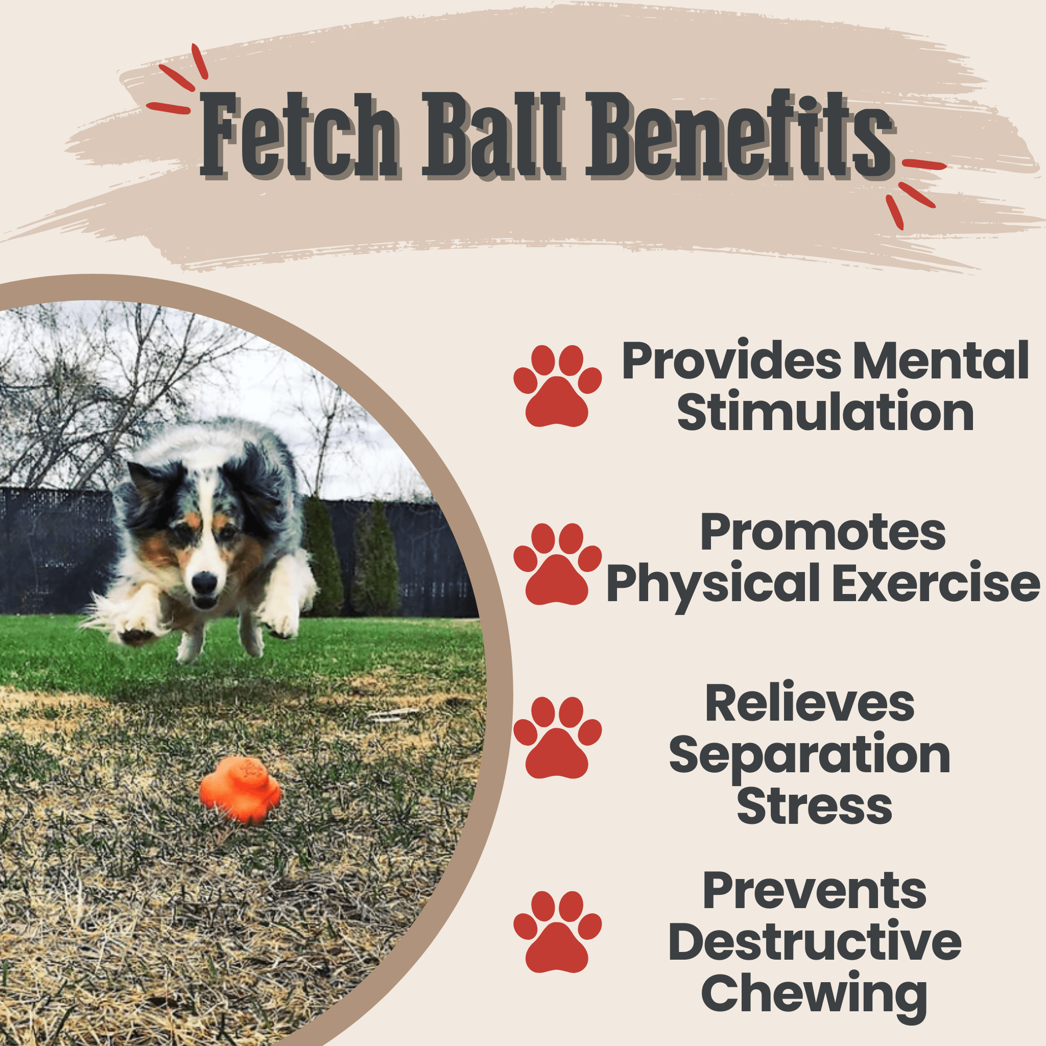 Dog Fetch Balls