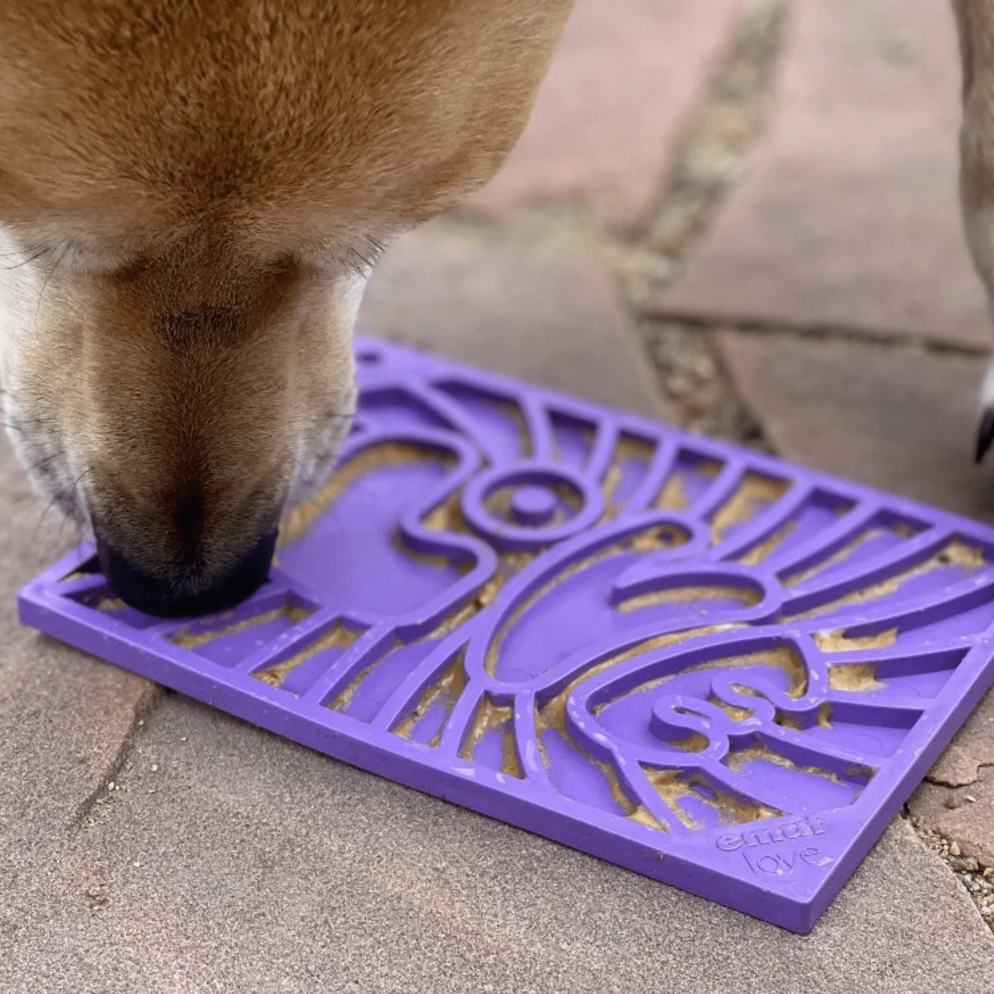 Lick Mats for Cats and Small Dogs