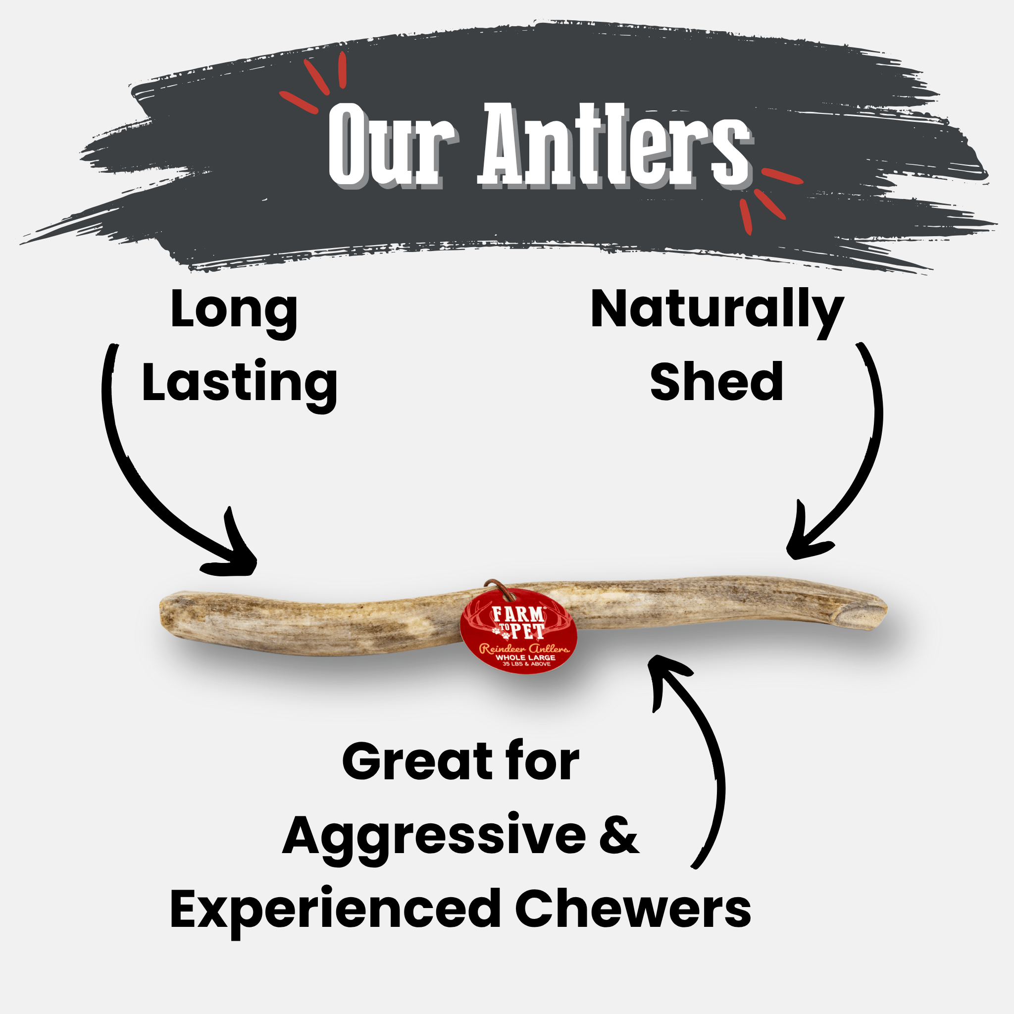 Reindeer Antler Dog Chews | Organic Chews for Dogs