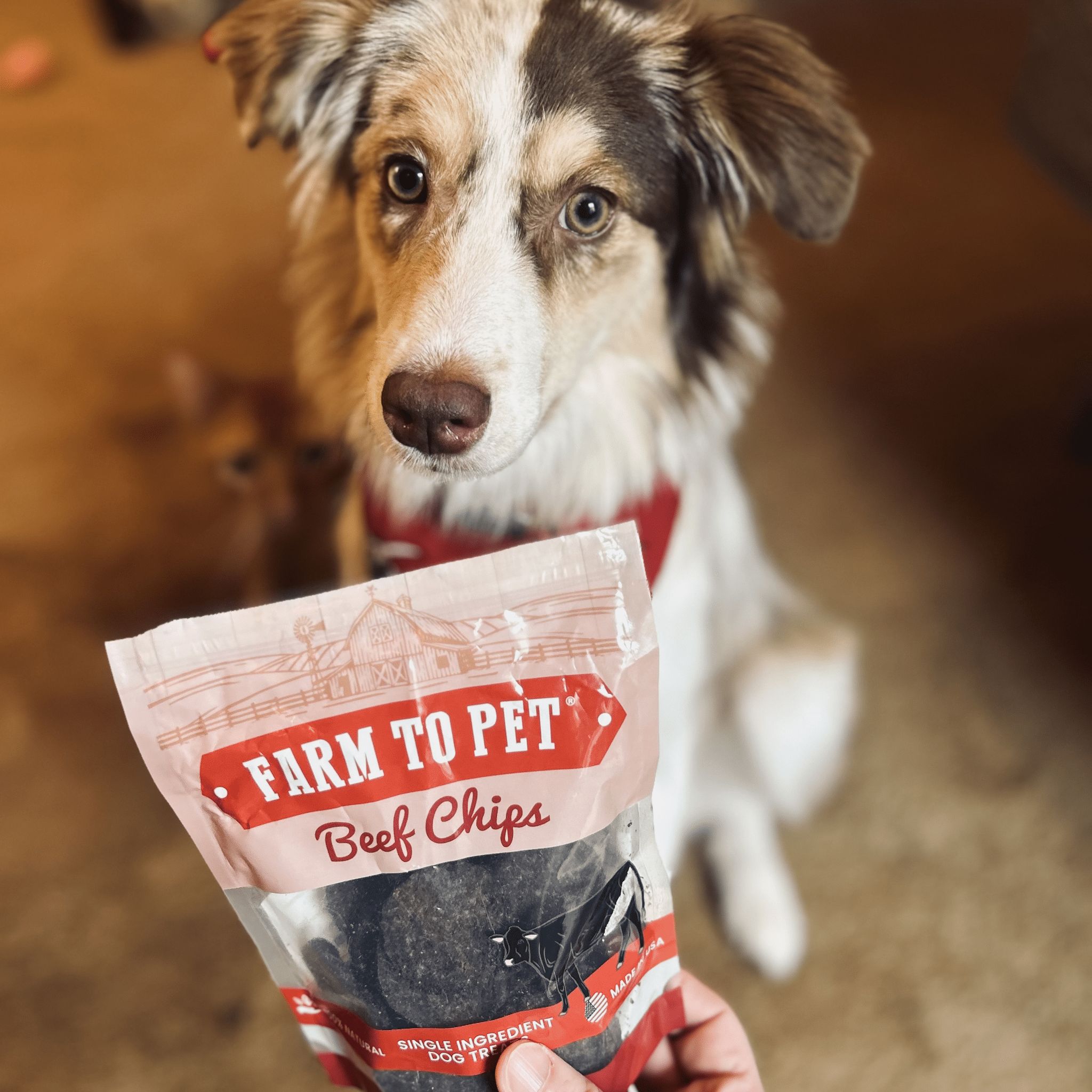 Puppy Packs 'n Snacks Dog Treat Starter Pack | Single-Ingredient Training Treats