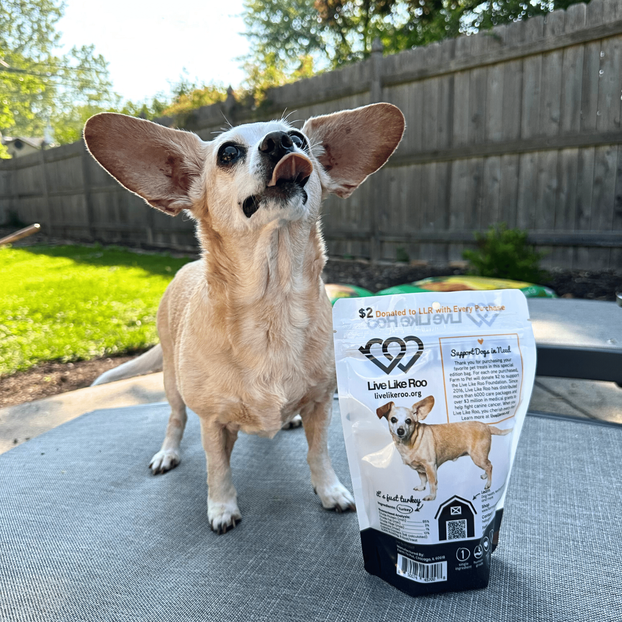 Live Like Roo Turkey Chips for Dogs | Dog Treats That Give Back