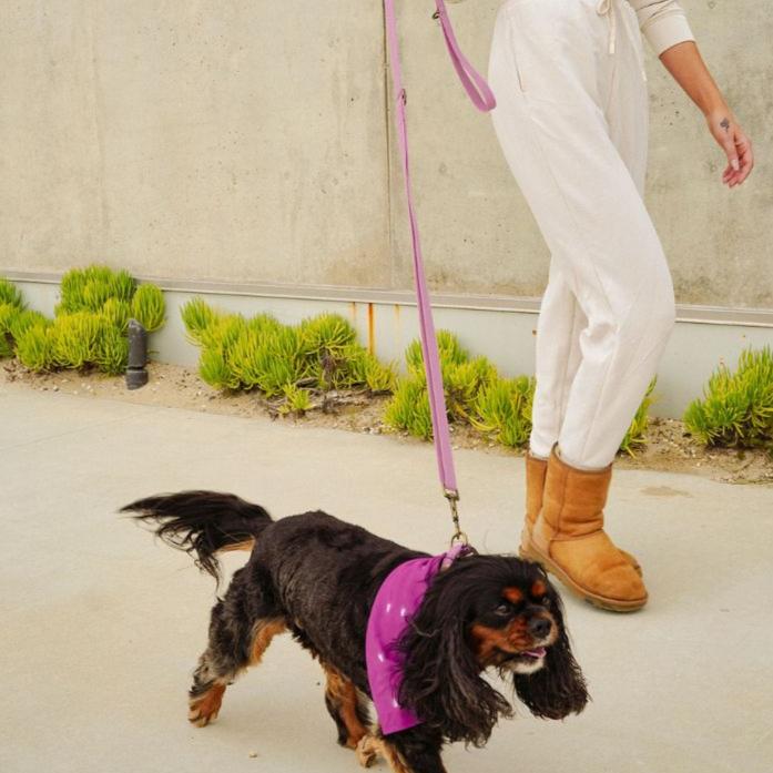 Hemp Cotton Dog Leash - Durable, Sustainable, Adjustable, Lightweight & Soft