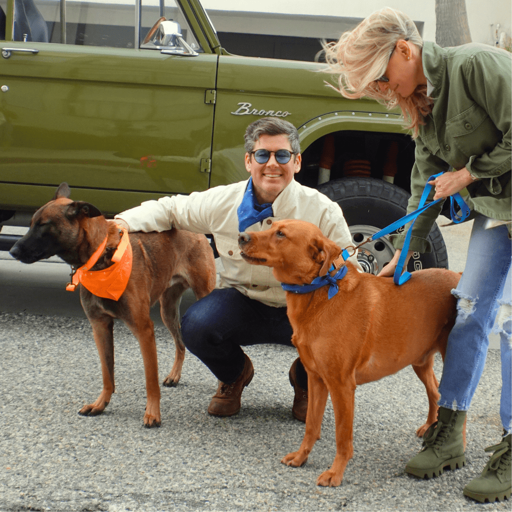 Hemp Cotton Dog Collar - Durable, Sustainable, Adjustable, Lightweight & Soft