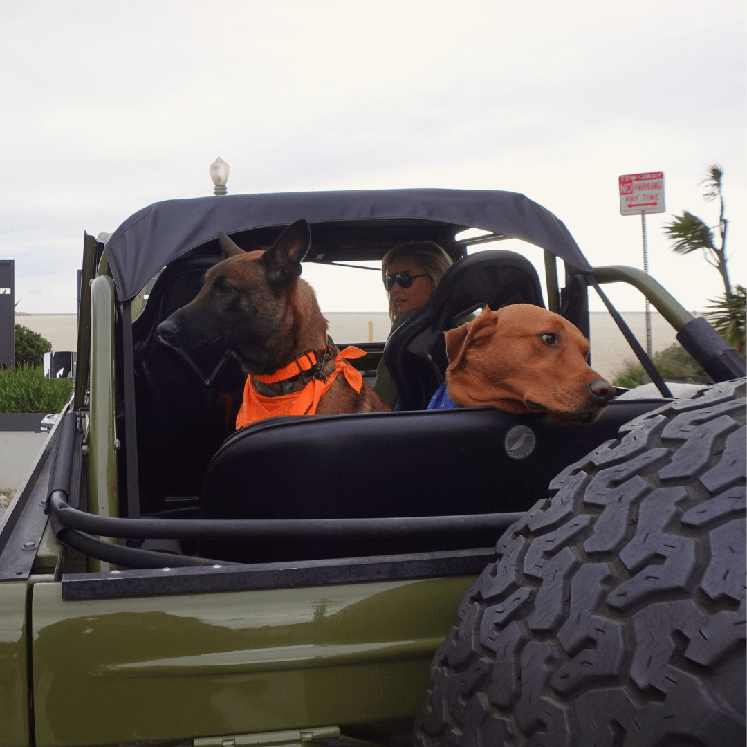 Hemp Cotton Dog Collar - Durable, Sustainable, Adjustable, Lightweight & Soft