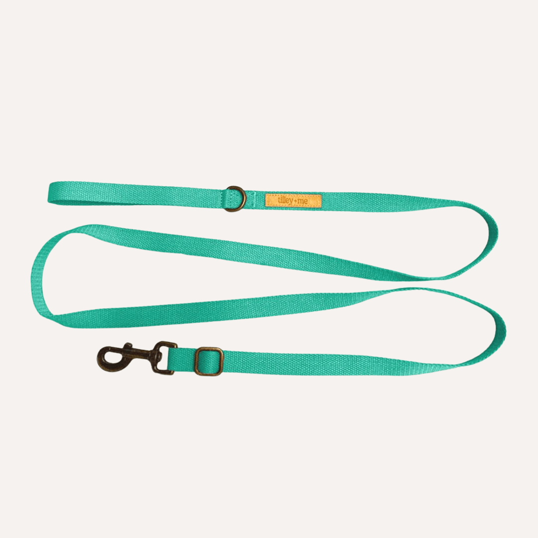 Hemp Cotton Dog Leash - Durable, Sustainable, Adjustable, Lightweight & Soft