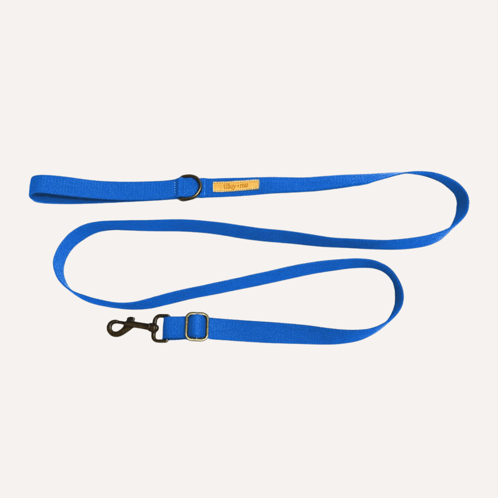 Hemp Cotton Dog Leash - Durable, Sustainable, Adjustable, Lightweight & Soft