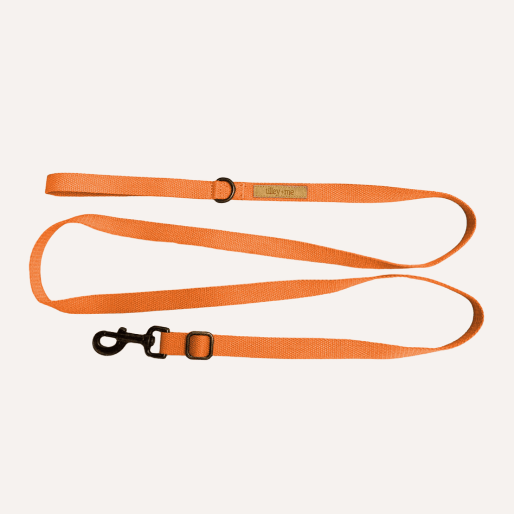 Hemp Cotton Dog Leash - Durable, Sustainable, Adjustable, Lightweight & Soft