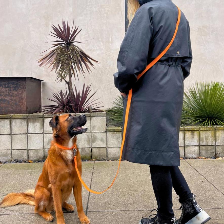 PVC Handsfree Dog Leash - All Weather Waterproof Durable & Odor-Resistant