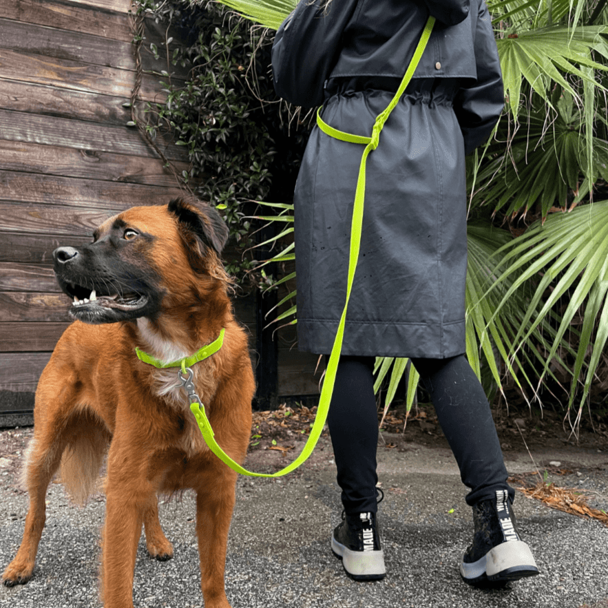 PVC Handsfree Dog Leash - All Weather Waterproof Durable & Odor-Resistant