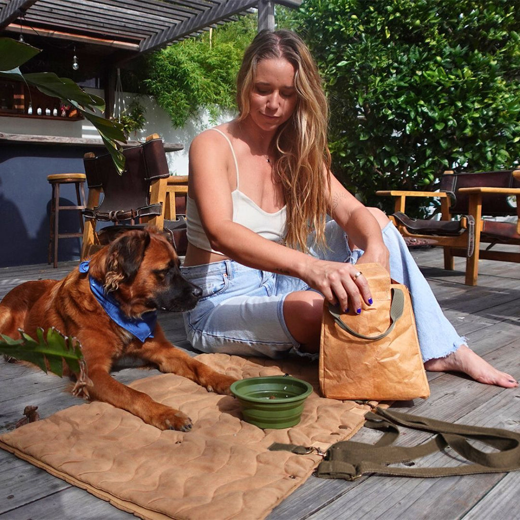 Convertible Dog Bag - Portable Travel Mat Bag for Pet Owners