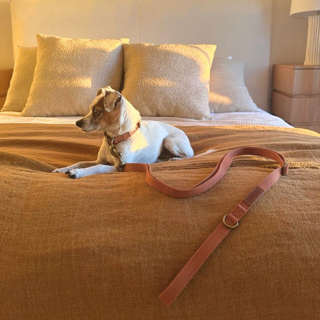 Hemp Cotton Dog Leash - Durable, Sustainable, Adjustable, Lightweight & Soft