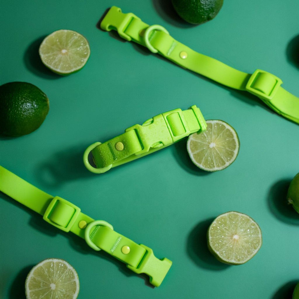 PVC Dog Collar - All Weather Waterproof Durable & Odor-Resistant