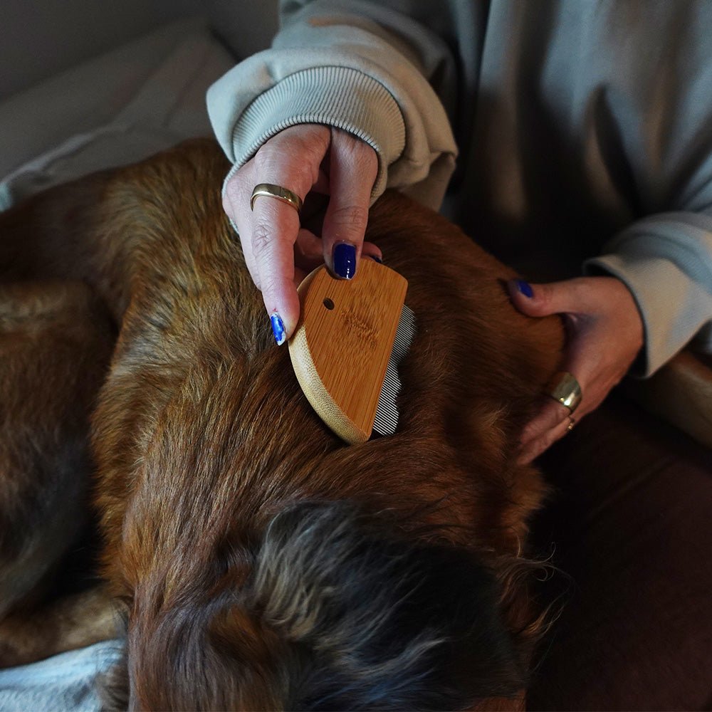 Bamboo Flea Comb for Dogs & Cats – Gentle & Eco-Friendly