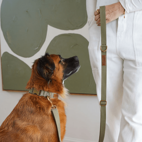 Hemp Cotton Dog Collar - Durable, Sustainable, Adjustable, Lightweight & Soft