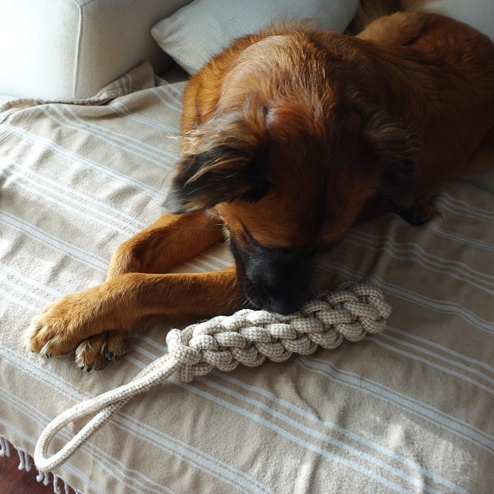 Indestructible Hemp Rope Tug Toy - Sustainable and Non-Toxic Pet Toy