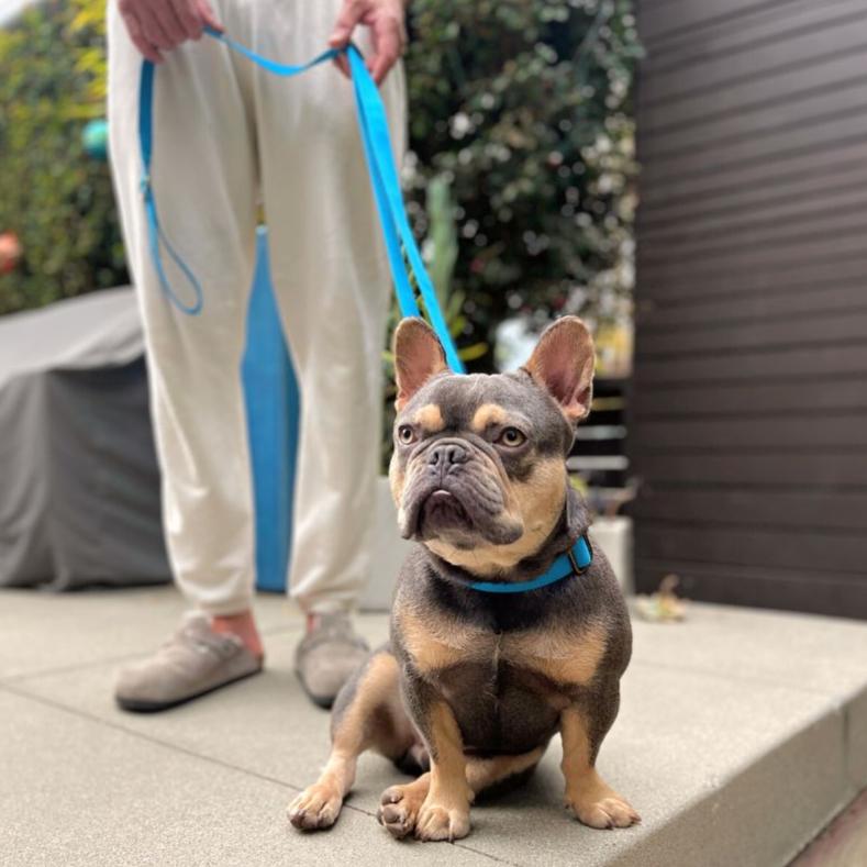 Hemp Cotton Dog Leash - Durable, Sustainable, Adjustable, Lightweight & Soft