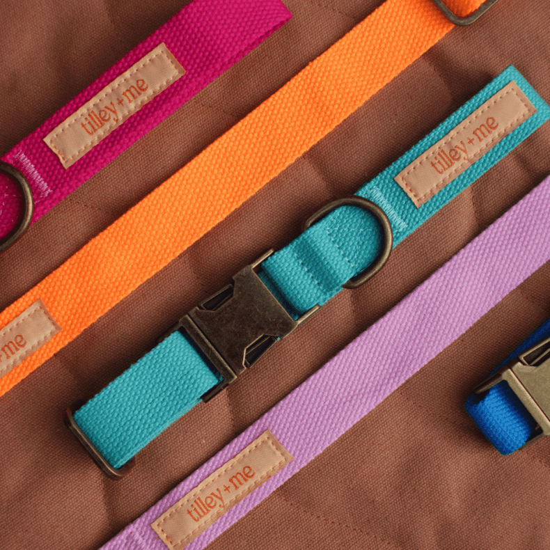 Hemp Cotton Dog Leash - Durable, Sustainable, Adjustable, Lightweight & Soft